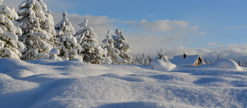 Eingeschneite Winterlandschaft