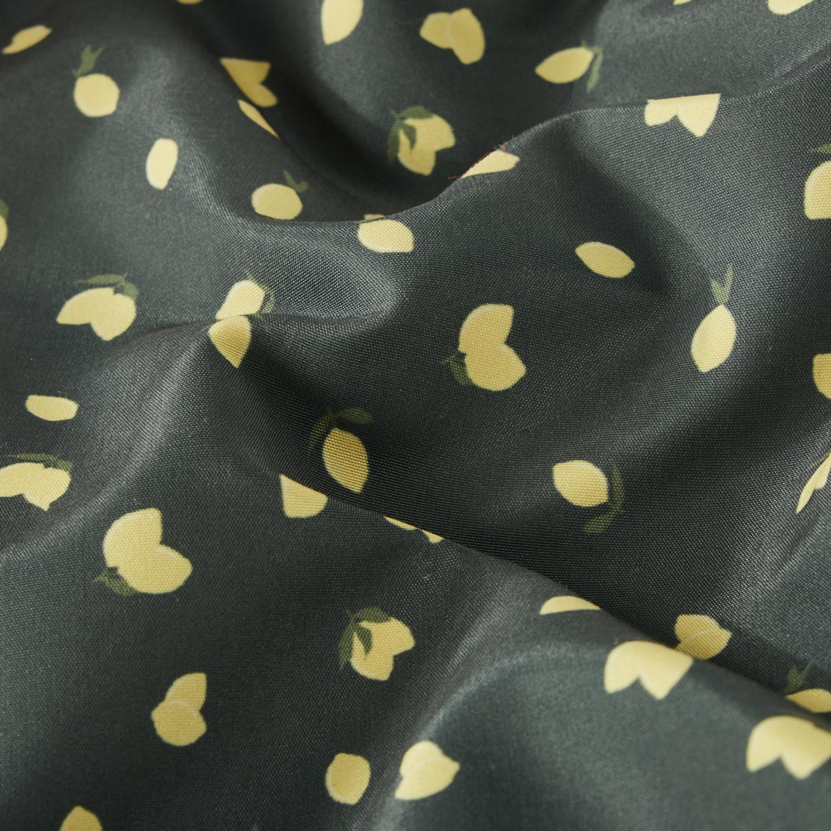 North Badeshorts mit Meshfutter grün