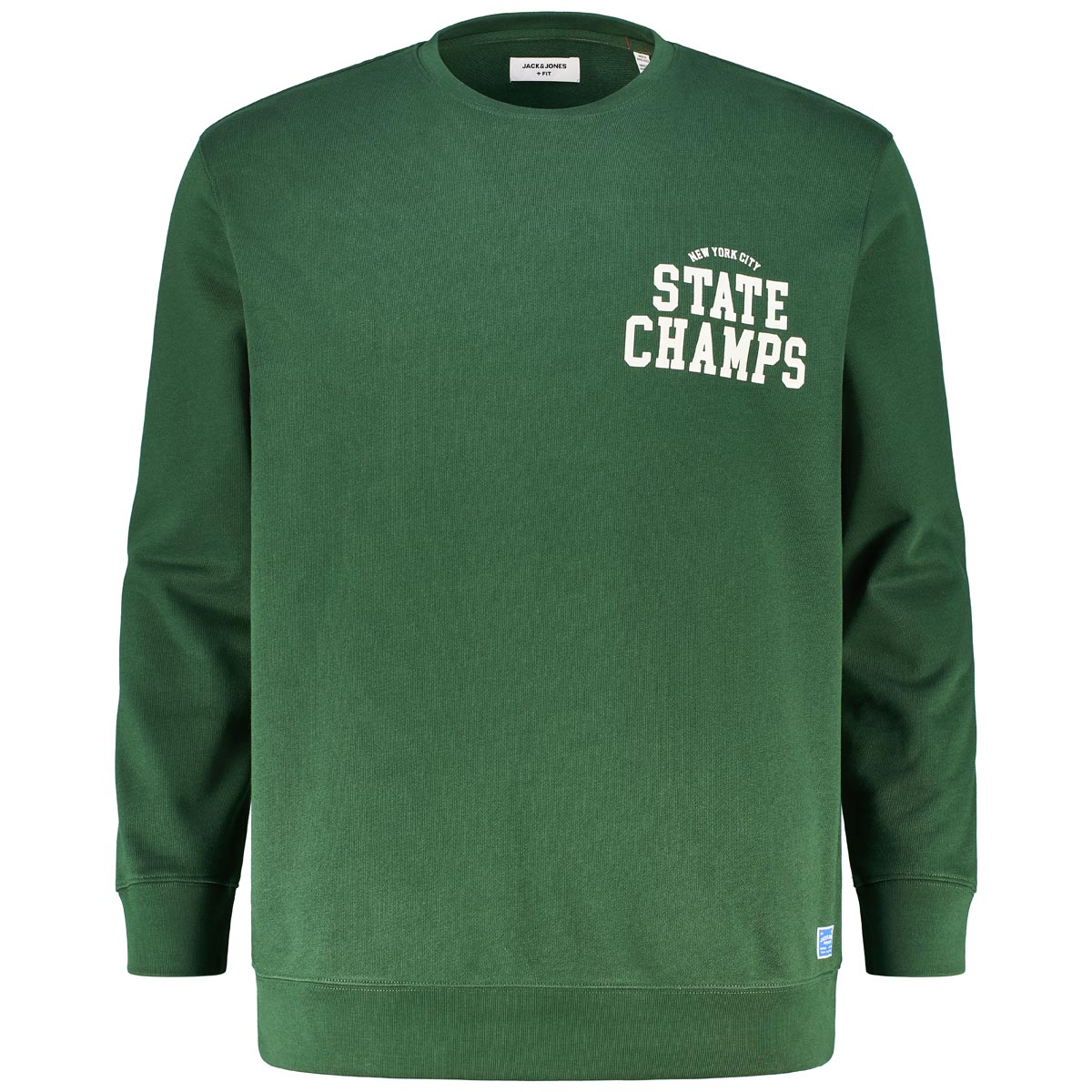 Sweatshirt mit Print
