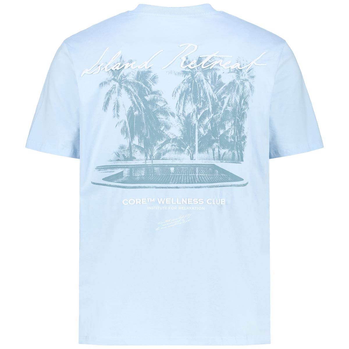 Jack&Jones T-Shirt mit Print auf Vorder- und Rückseite blau