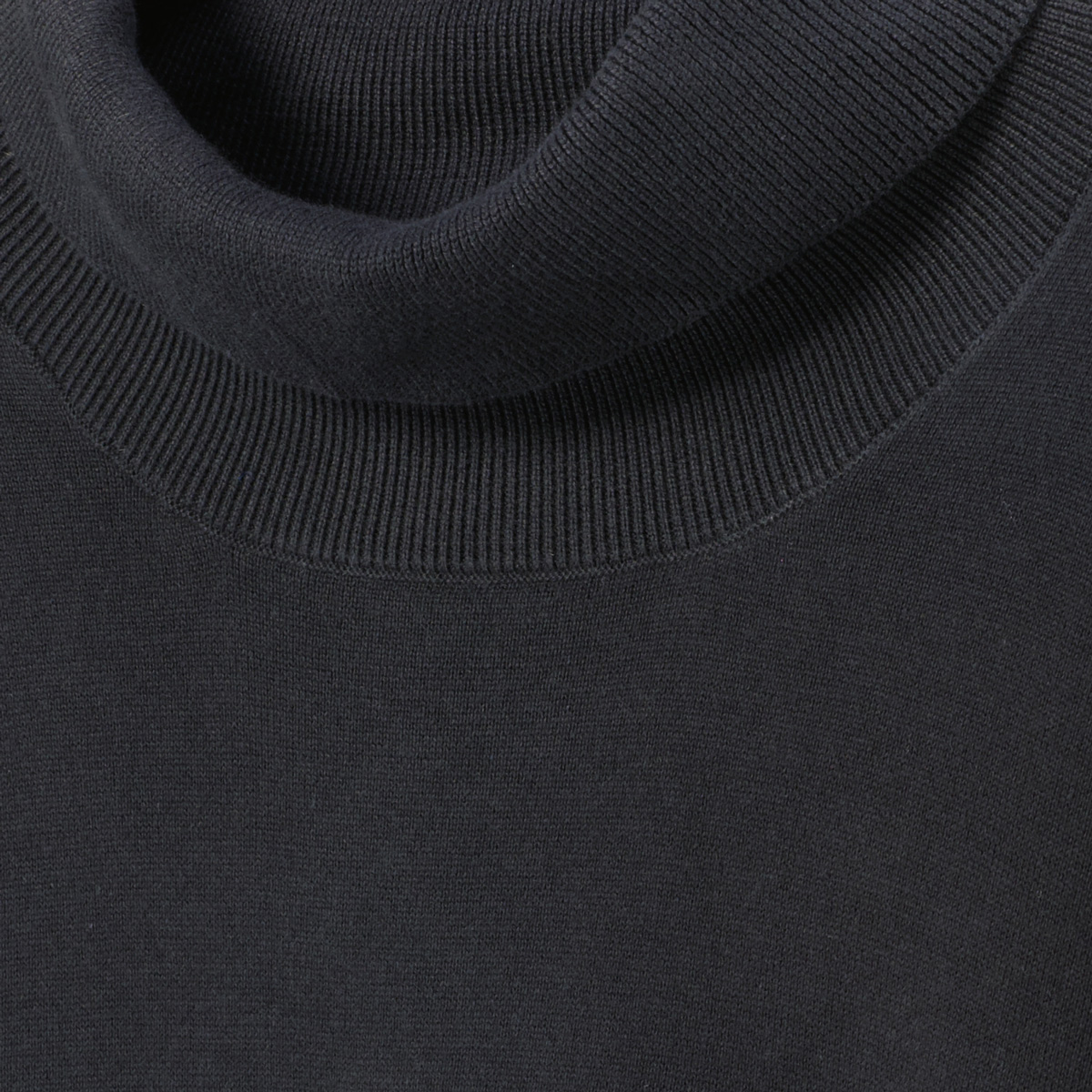 Jack&Jones Rollkragenpullover mit Biobaumwolle schwarz