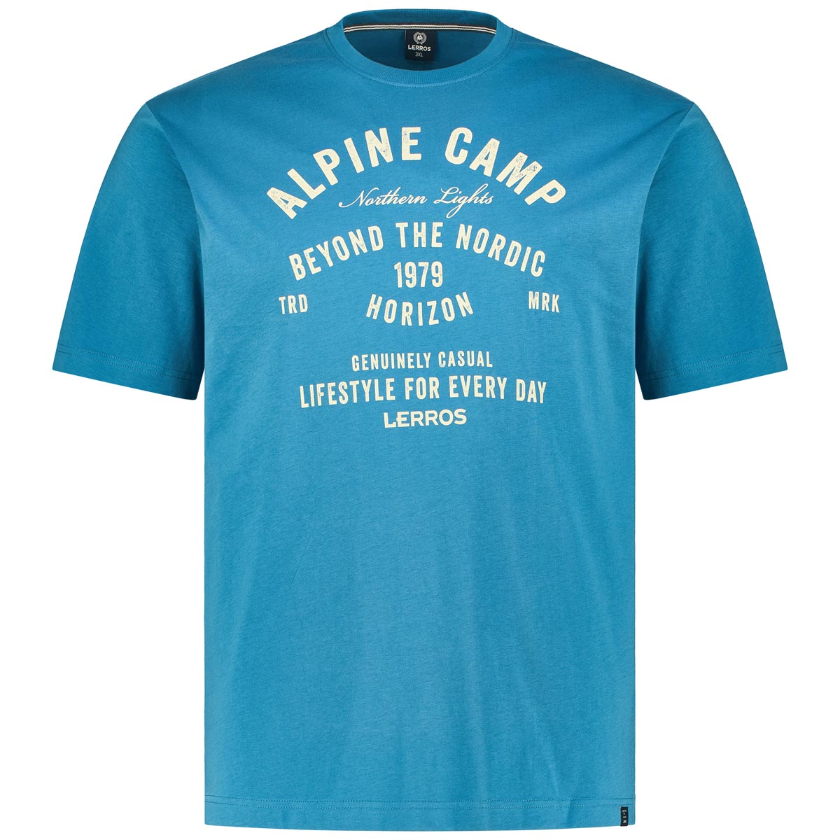 T-Shirt mit Motiv-Print