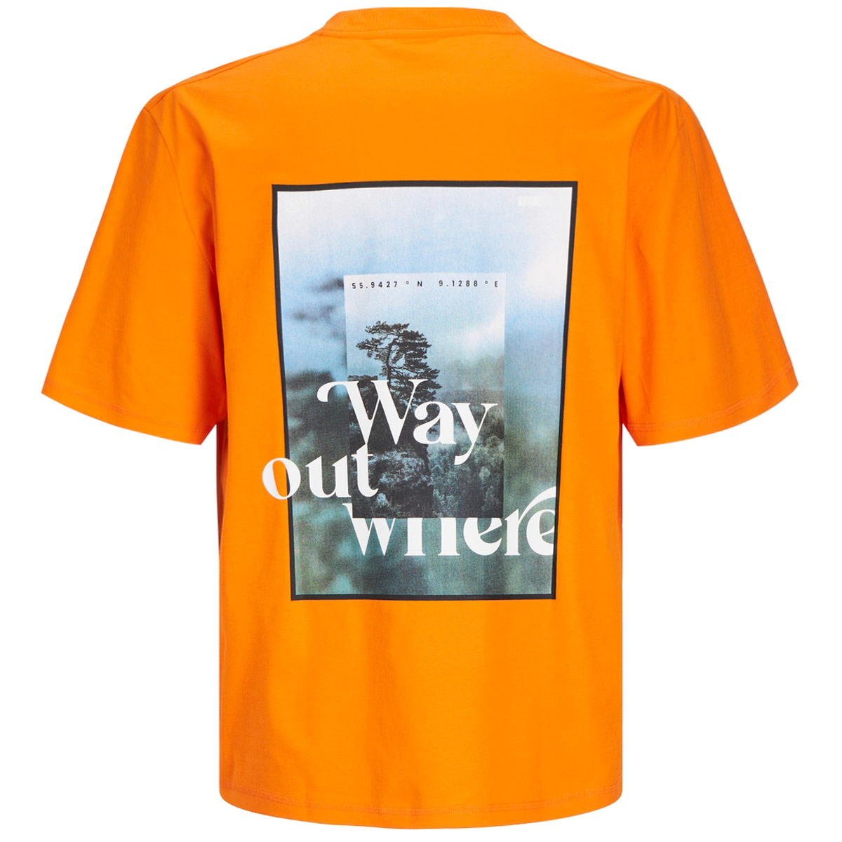 Jack&Jones T-Shirt mit Print auf Vorder- und Rückseite curry