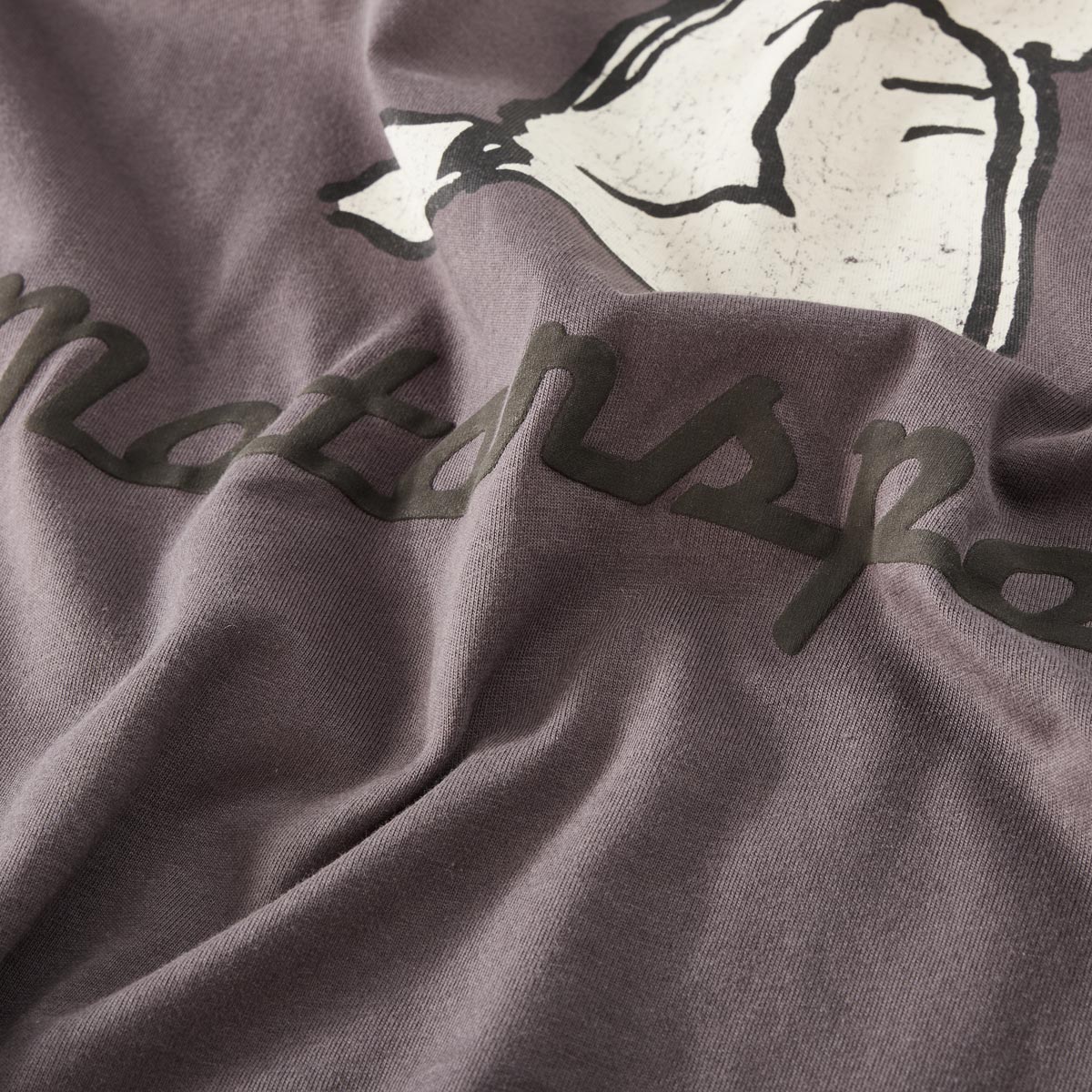 North T-Shirt mit Peanuts-Print grau