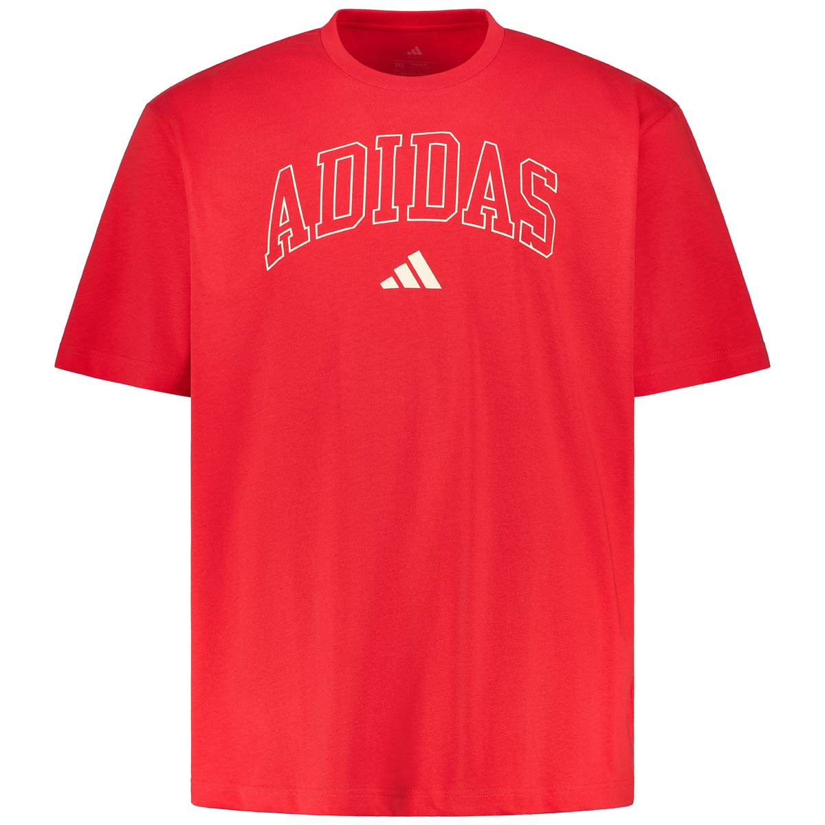 T-Shirt mit Label-Print