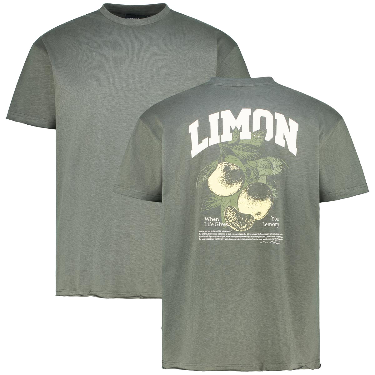 North T-Shirt mit Rückenprint Farbe grün Größe: 3XL günstig online kaufen