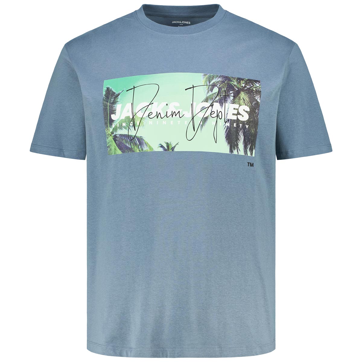 T-Shirt mit Motiv-Print