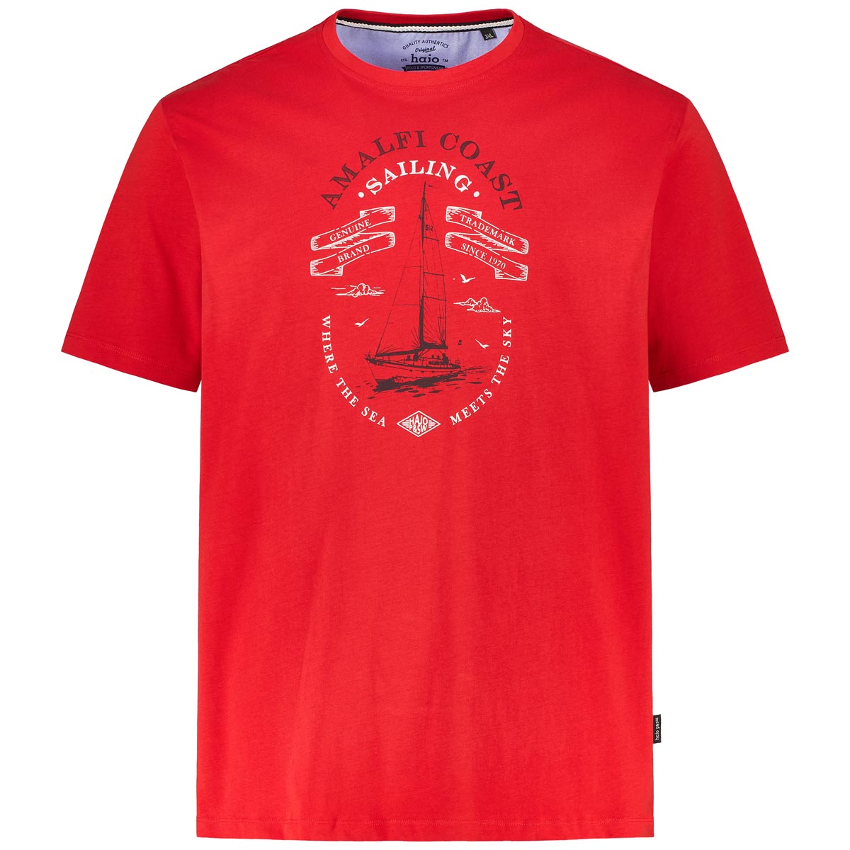 T-Shirt mit Motiv-Print