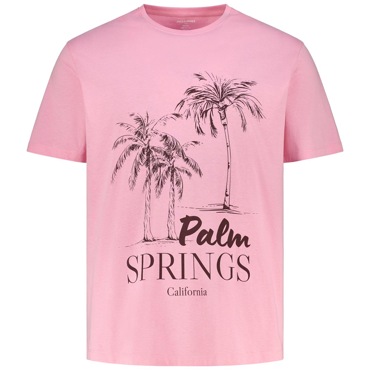 T-Shirt mit Motiv-Print