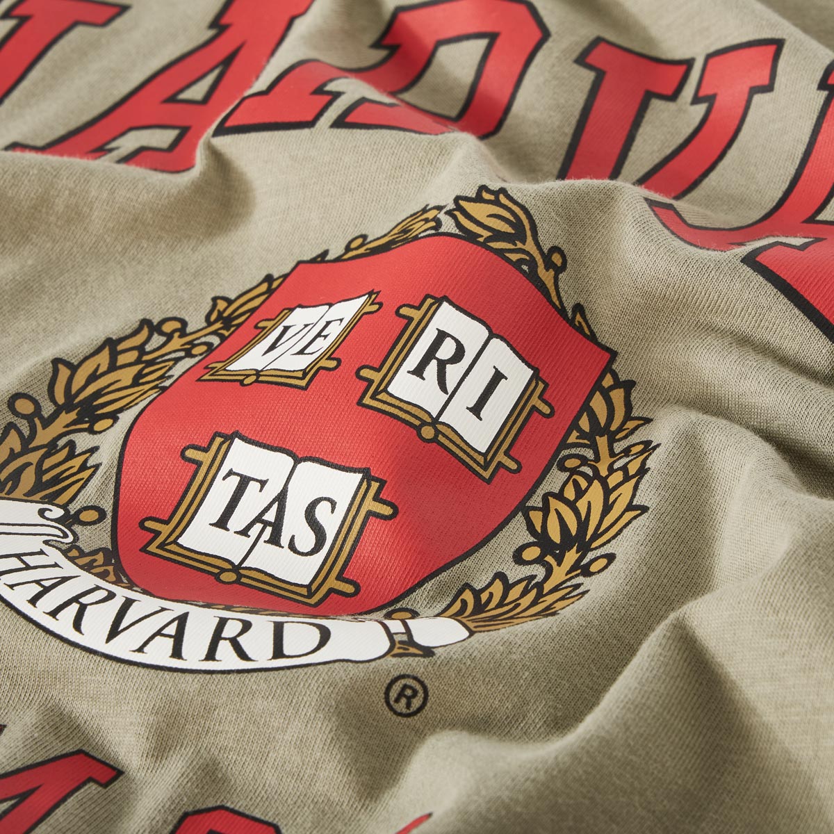 s.Oliver T-Shirt mit Statement-Print oliv