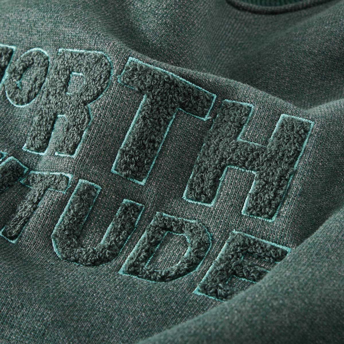 North Sweatshirt mit Fleece-Innenseite dunkelgrün