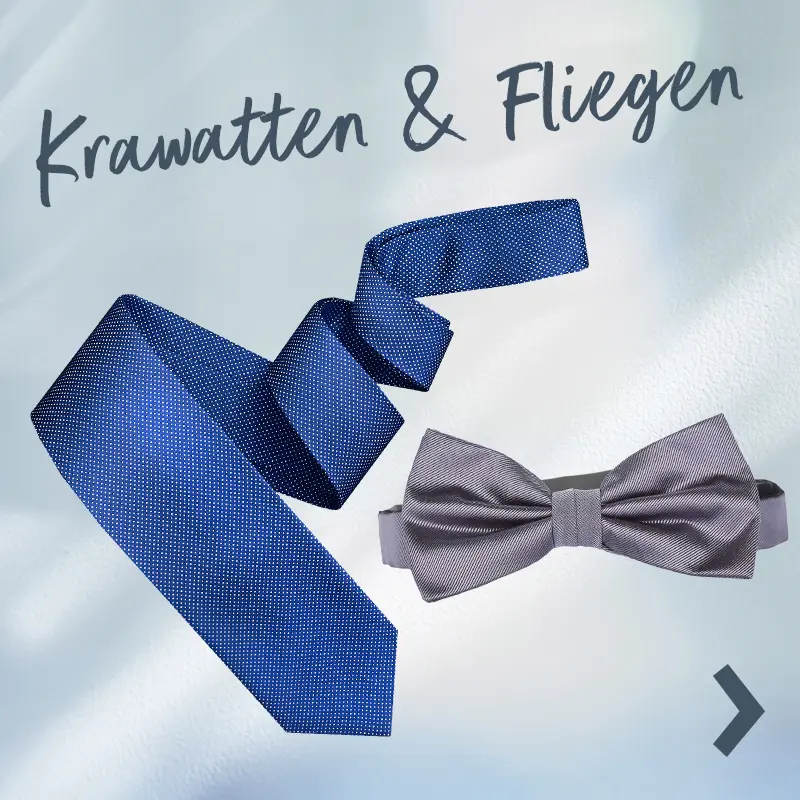 Blau gestreifte Krawatte und graue Fliege auf hellem Hintergrund. Schriftzug „Krawatten & Fliegen“ verweist auf die passende Accessoire-Kategorie.