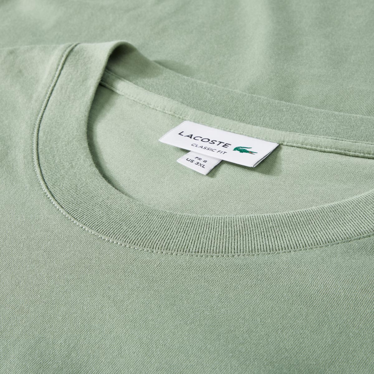 LACOSTE T-Shirt aus Baumwolle grün