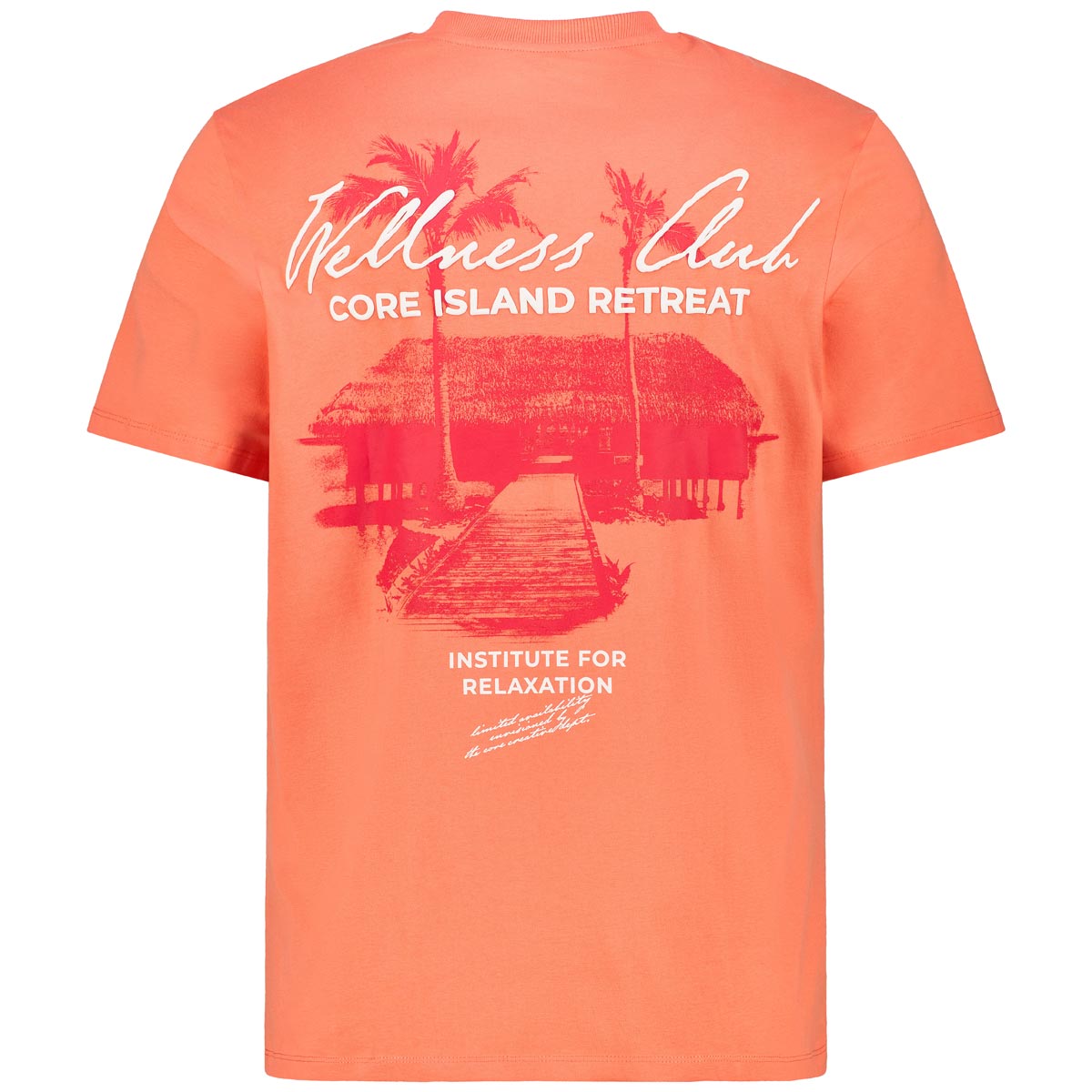 Jack&Jones T-Shirt mit Print auf Vorder- und Rückseite orange