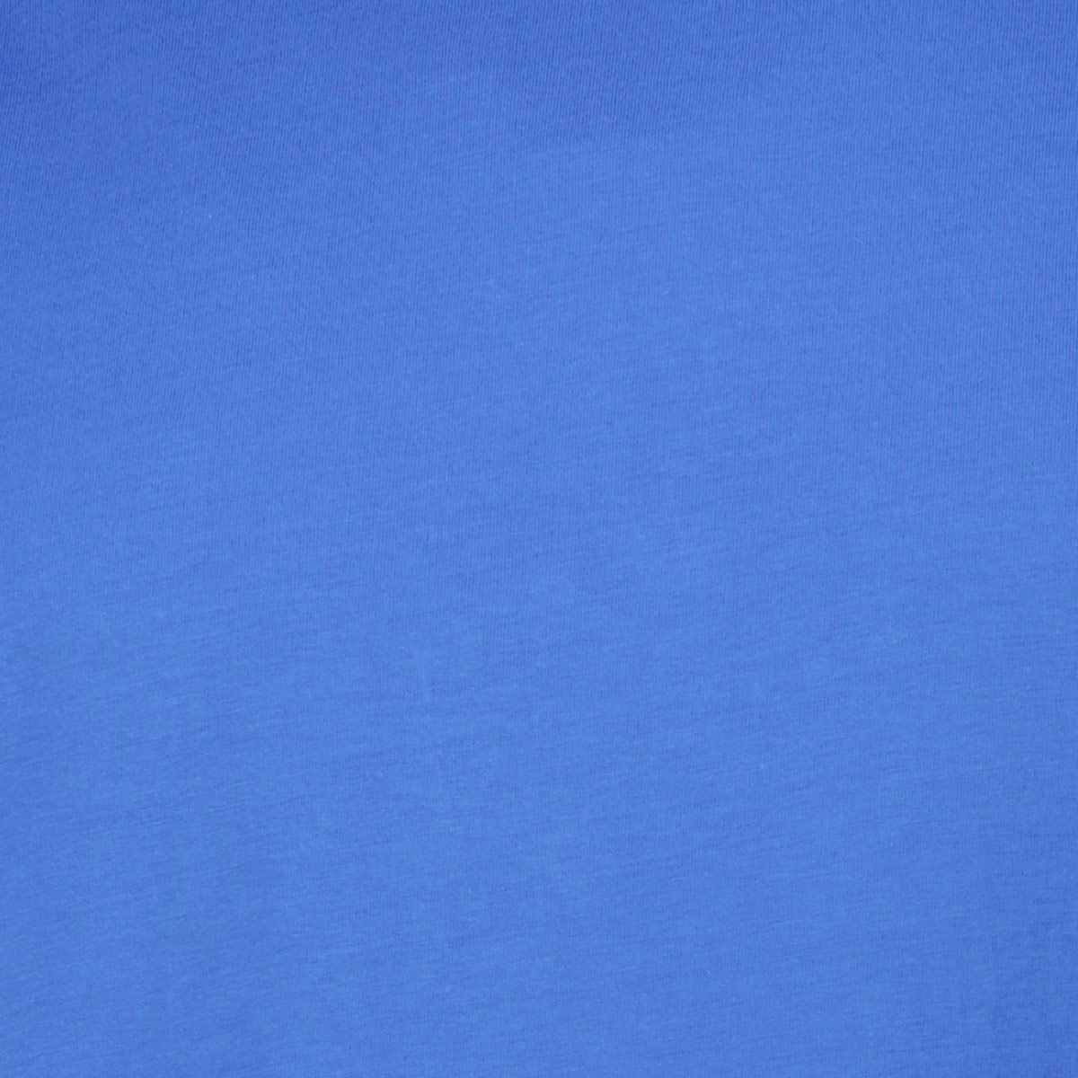 ADAMO Doppelpack T-Shirt aus Baumwolle blau