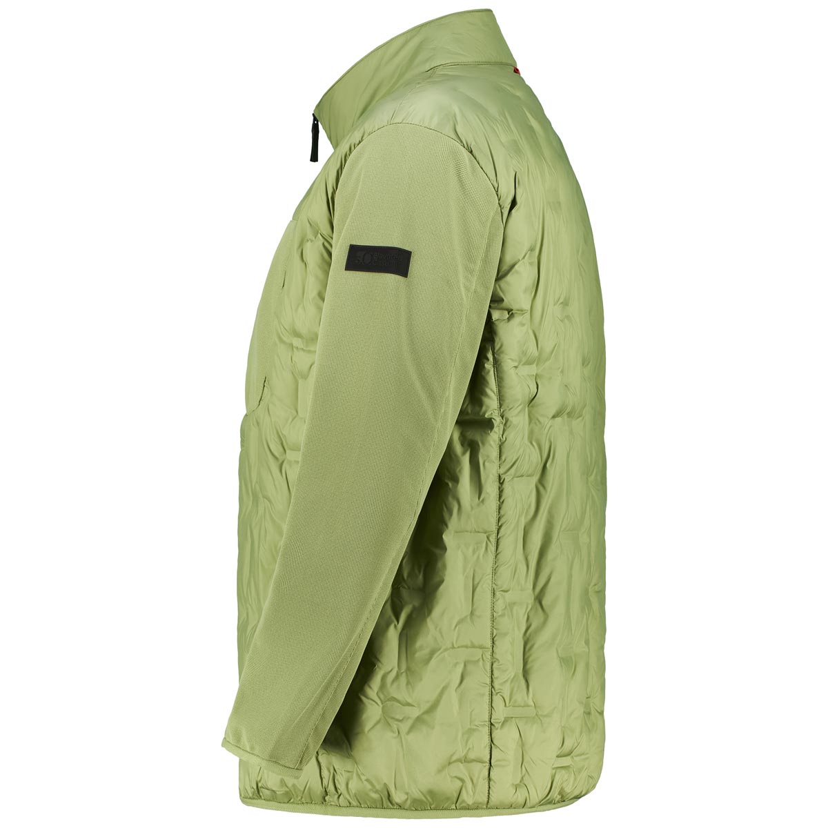 s.Oliver Steppjacke mit Stehkragen Farbe grün Größe: 5XL günstig online kaufen