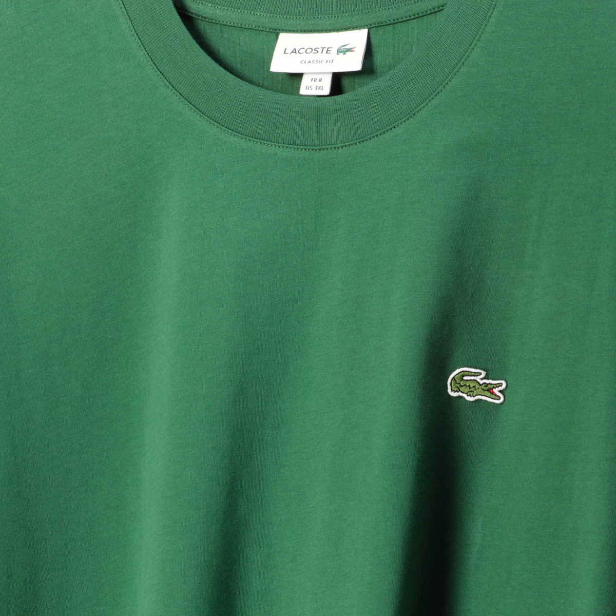 LACOSTE T-Shirt aus Baumwolle dunkelgrün