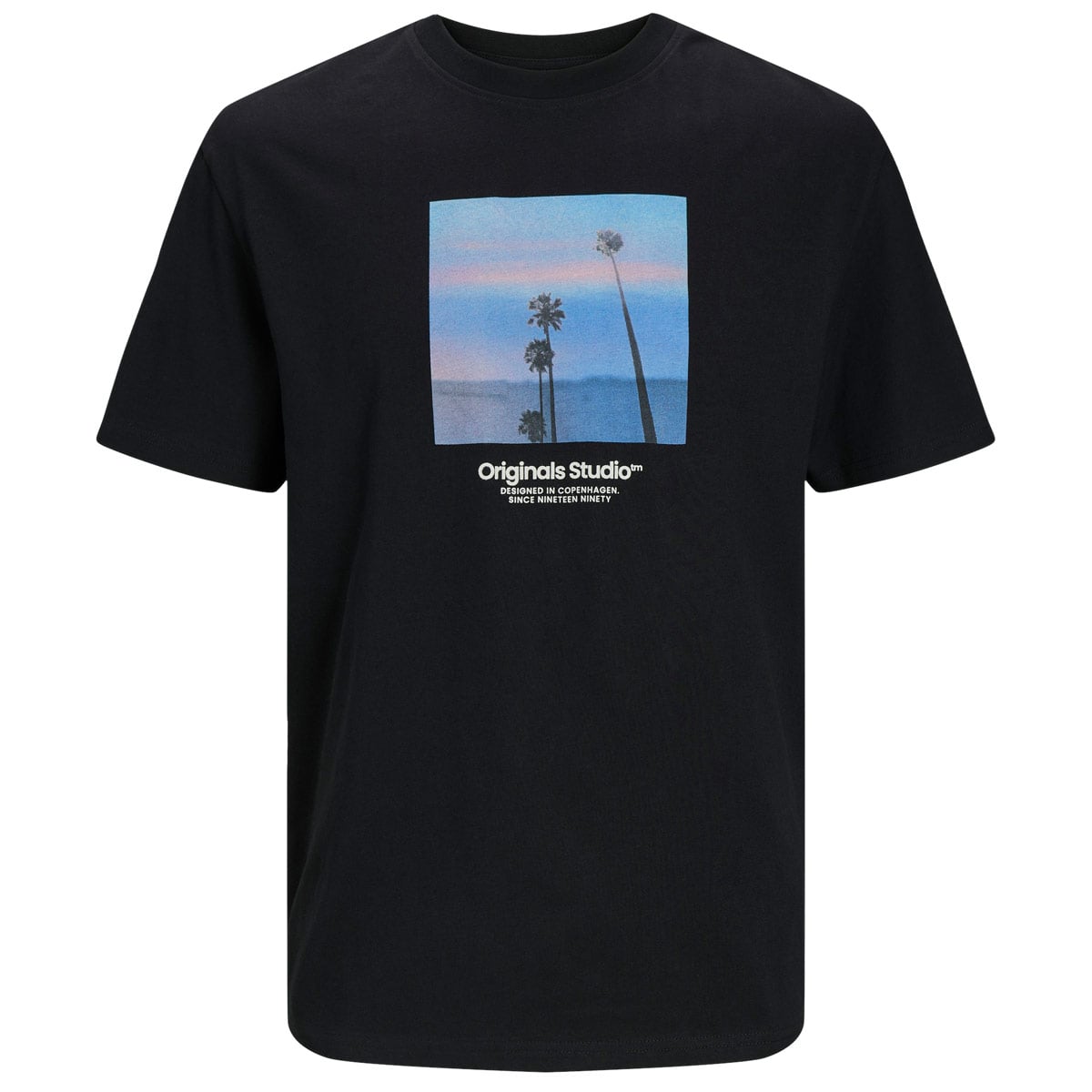 T-Shirt mit Foto-Print T-Shirt mit Foto-Print