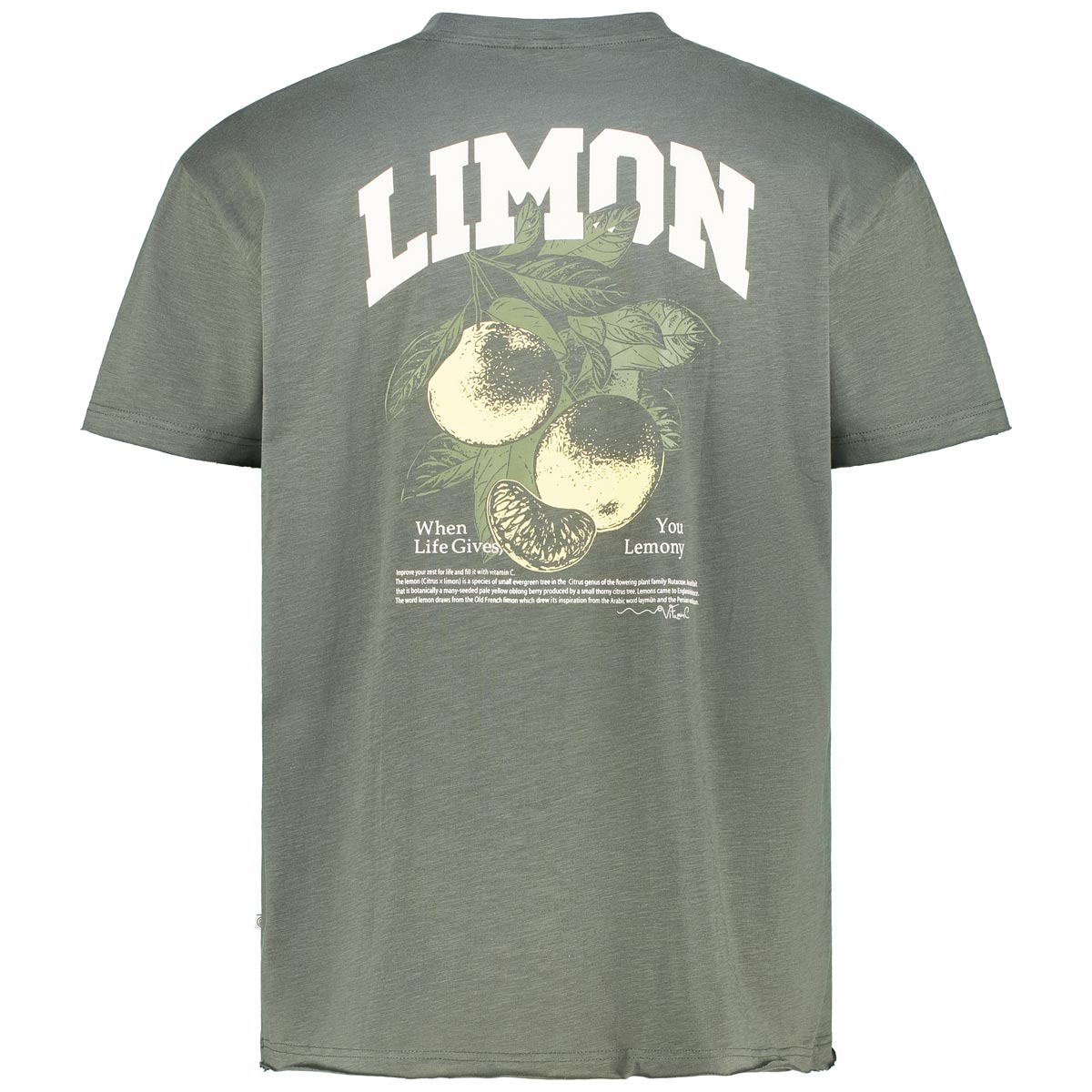 North T-Shirt mit Rückenprint grün