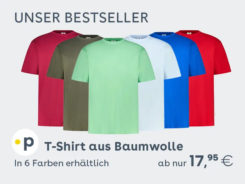 Pfundskerl Empfehlung: Baumwoll-T-Shirts in sechs Farben, bequem für Herren in großen Größen.
