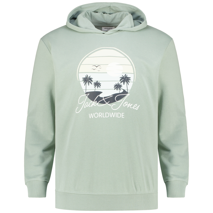 Jack&Jones Hoodie mit Label-Print günstig online kaufen