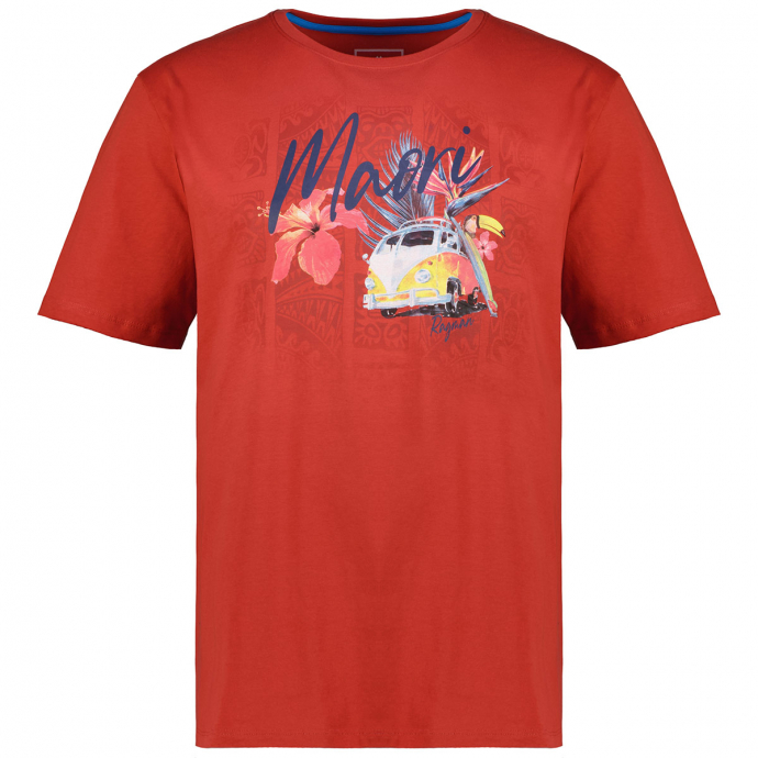 T-Shirt mit Motiv-Print rost_063 | 3XL
