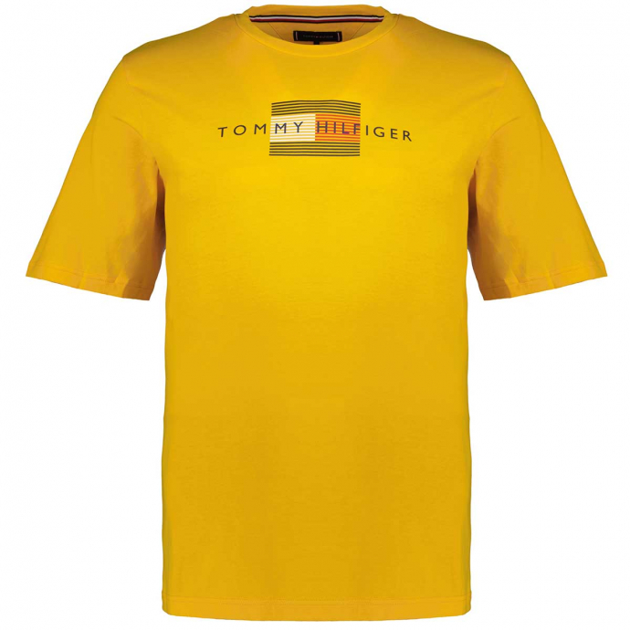 T-Shirt aus Bio-Baumwolle mit Fadegrafik gelb_ZER | 4XL