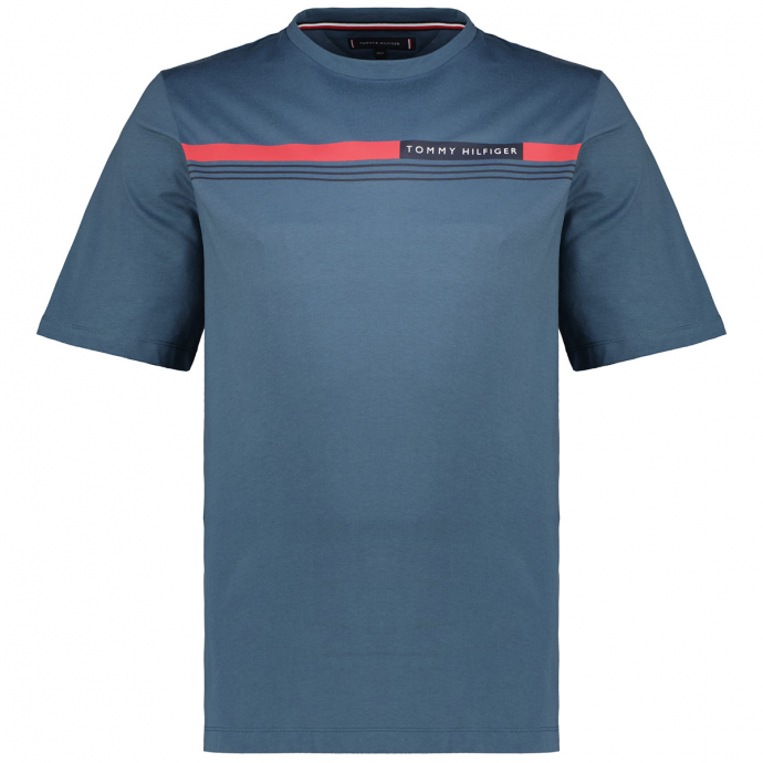 T-Shirt mit Biobaumwolle graublau_DA4 | 5XL