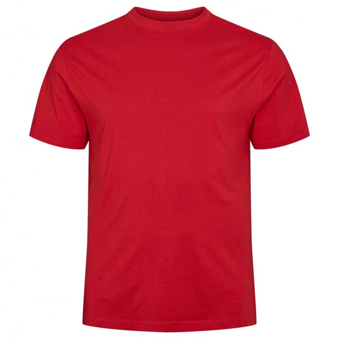 North T-Shirt aus Baumwolle günstig online kaufen