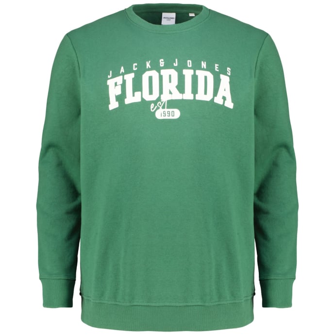 Jack&Jones Sweatshirt mit Print günstig online kaufen