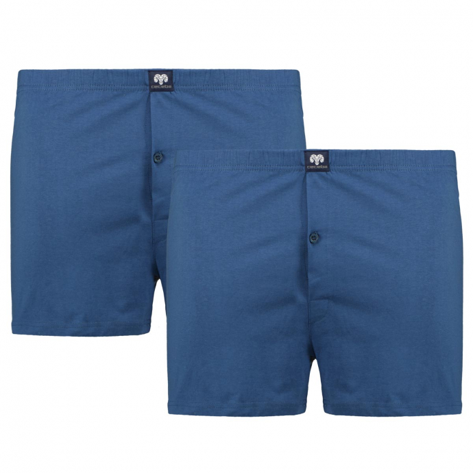 Boxershorts aus Baumwoll-Jersey, Doppelpack blau_6979 | 8