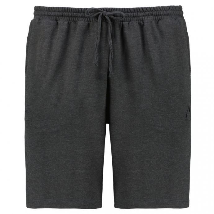 Authentic Klein Joggingshorts mit Stretch günstig online kaufen