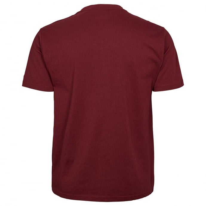 North T-Shirt aus Baumwolle günstig online kaufen