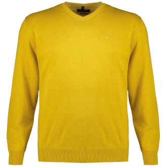 Leichter Feinstrick-Pullover mit V-Ausschnitt aus Pima Baumwolle gelb_532 | 3XL