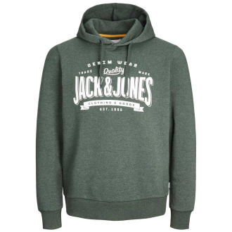 Sweatshirt mit Logo-Print grün_MOUNTAIN VIEW | 3XL