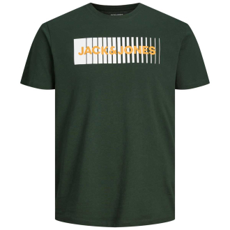 T-Shirt mit Logo-Print grün_MOUNTAIN VIEW | 3XL