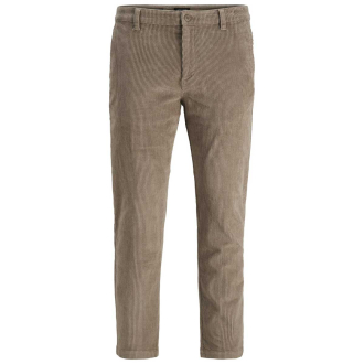 Cordhose mit Elasthan grau_FUNGI | 42/32