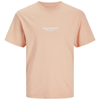 T-Shirt mit Logo-Print orange_CANYON SUNSET | 3XL