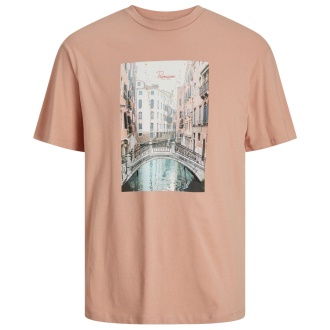T-Shirt mit Foto-Print pfirsich_CAFÉ CRÈME | 3XL