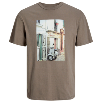 T-Shirt mit Foto-Print mittelbraun_FALCON | 3XL