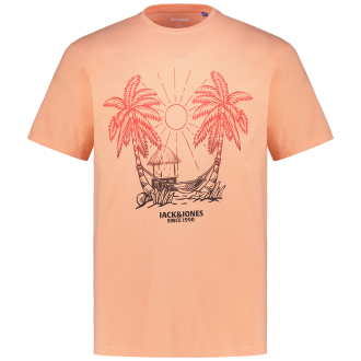 T-Shirt mit Print orange_CANYON SUNSET | 3XL