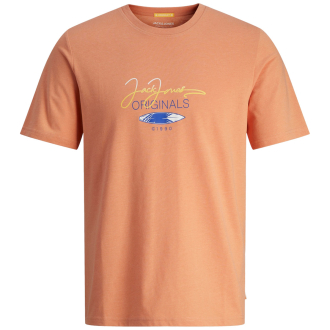 T-Shirt mit Motiv-Print orange_CANYON SUNSET | 3XL