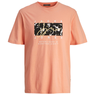 T-Shirt mit Label-Print orange_CANYON SUNSET | 3XL