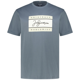 T-Shirt mit Label-Print grau_STORMY WEATHER/SS25 | 3XL
