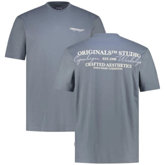 T-Shirt mit Print grau_STORMY WEATHER | 3XL