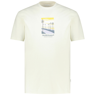 T-Shirt mit Motiv-Print cremeweiß_CELADON TINT | 3XL