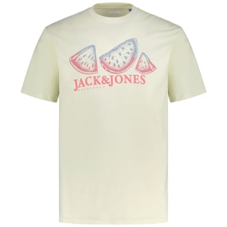 T-Shirt mit Motiv-Print cremeweiß_CELADON TINT | 3XL