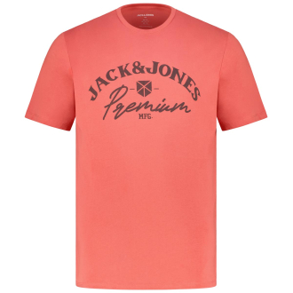 T-Shirt mit Label-Print rot_TANDOORI SPICE | 3XL