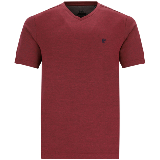T-Shirt "Stay Fresh", bügelleicht rot_373 | 4XL
