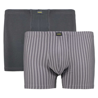 Doppelpack Pants mit Elasthan grau_823 | 10